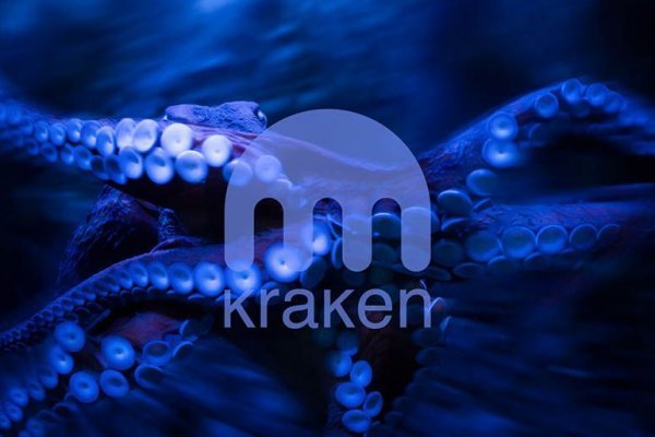 Kraken url